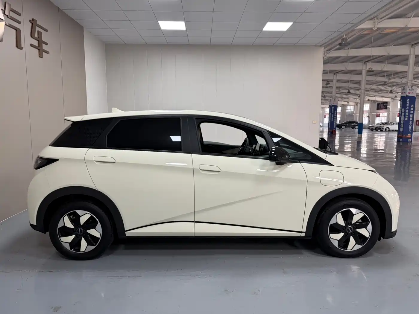 BYD Dolphin 2024 Glory Edition 420km Fashion Edition фото 8