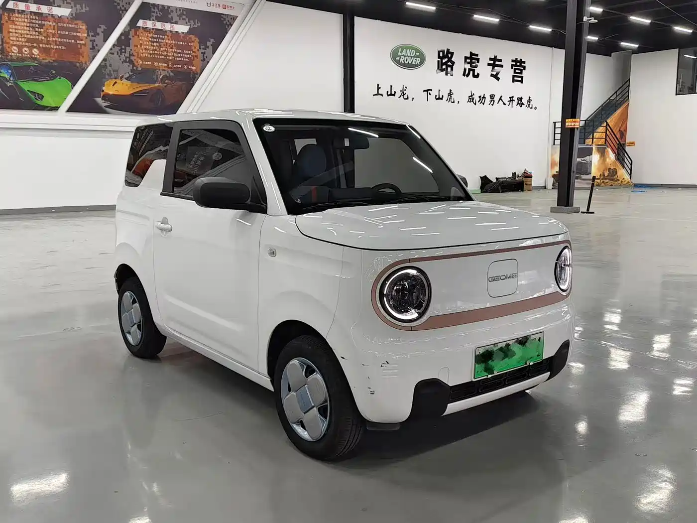 Geely Galaxy Panda 2025 2024 Panda mini 200km Endurance Bear