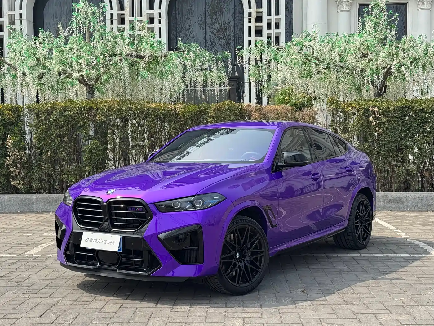 BMW X6M