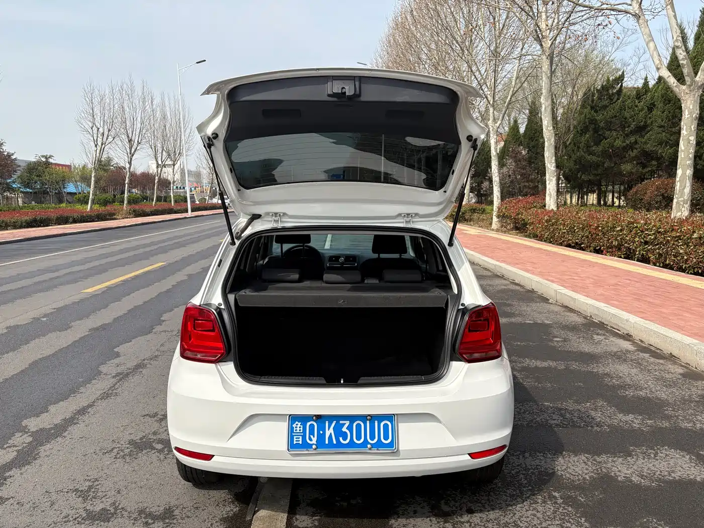 Volkswagen Polo 2016 1.4L Manual Trend фото 6