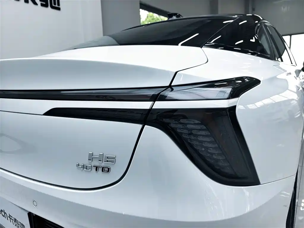Hongqi H6 2023 2.0T Elegance Edition фото 13