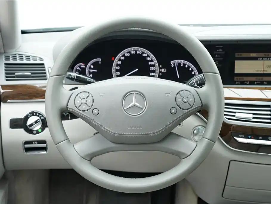 Mercedes-Benz S-Class 2010 S 300 L Luxury фото 15