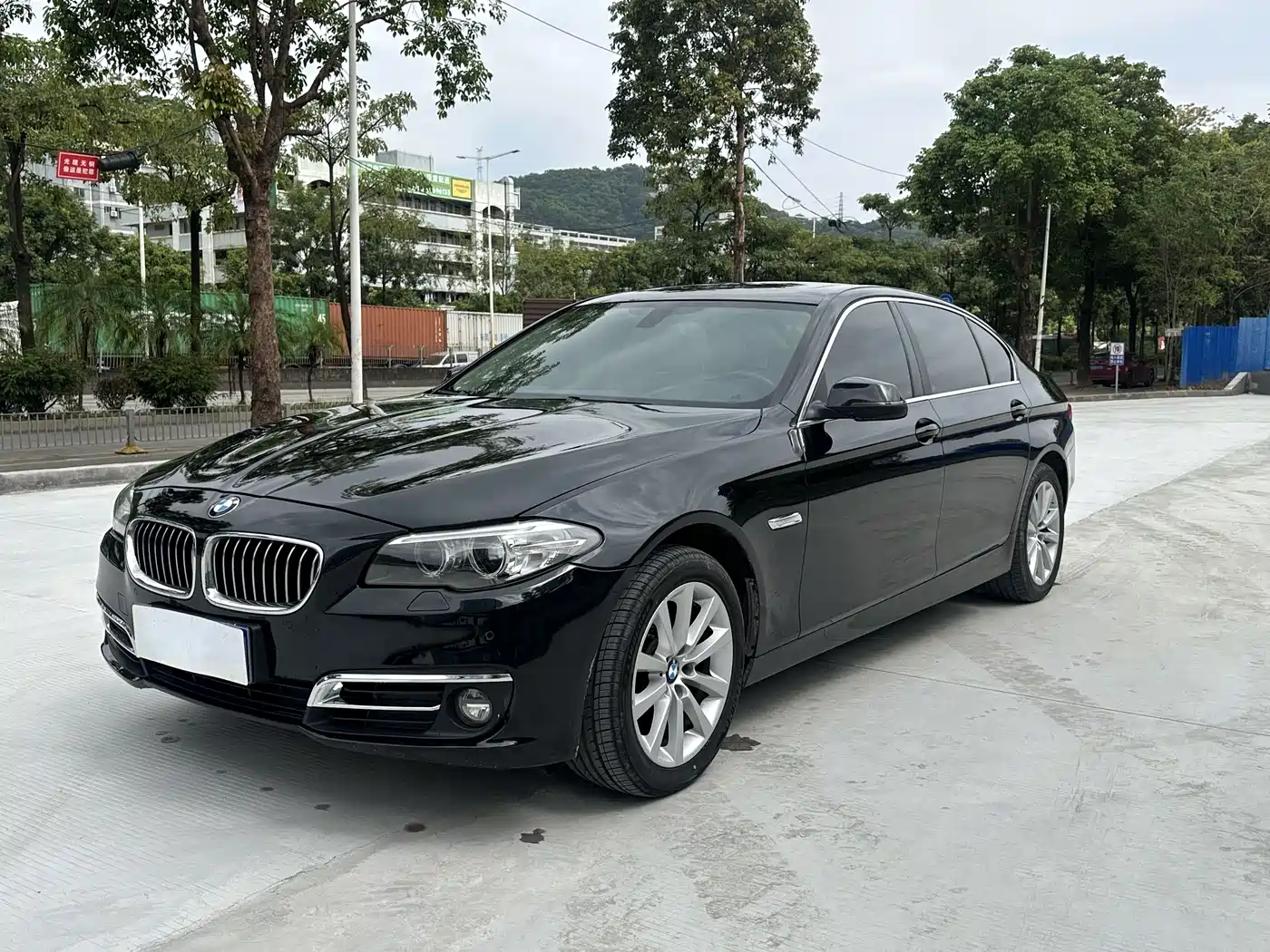 BMW 5 Series 2014 530Li Leading