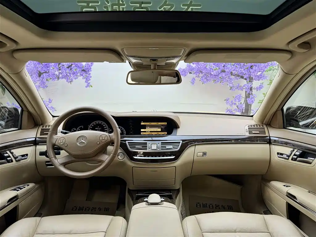 Mercedes-Benz S-Class 2010 S 300 L Business фото 13