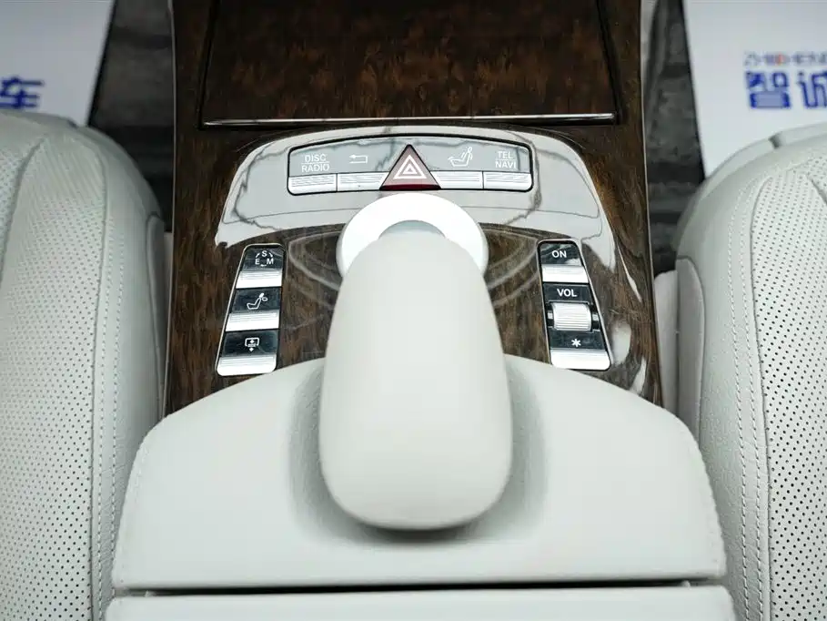 Mercedes-Benz S-Class 2010 S 300 L Luxury фото 19