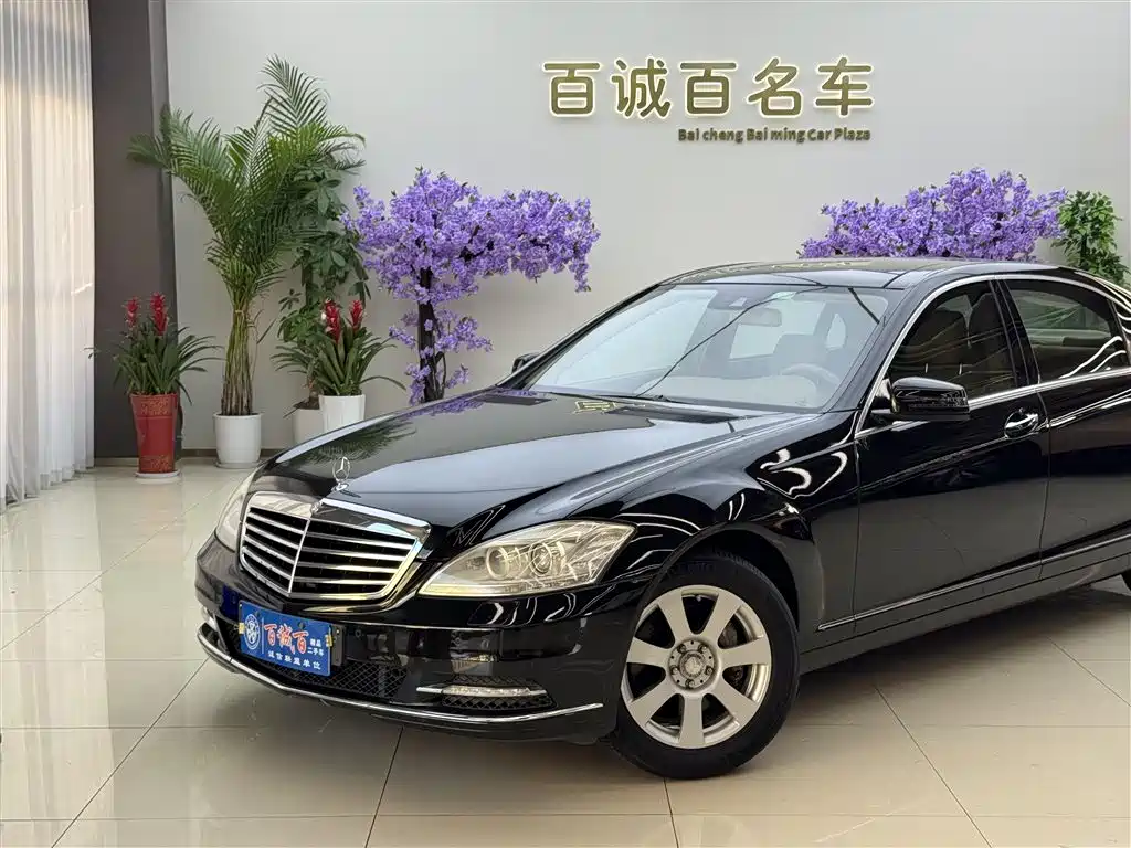 Mercedes-Benz S-Class 2010 S 300 L Business фото 2