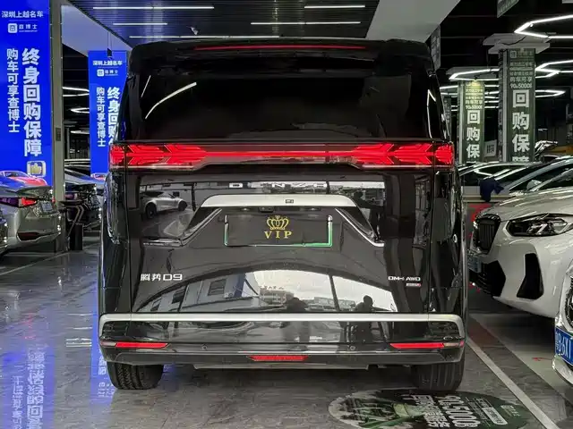 Denza D9 2025 DM-i Smart Driving Edition 1020 AWD Flagship — фото 5