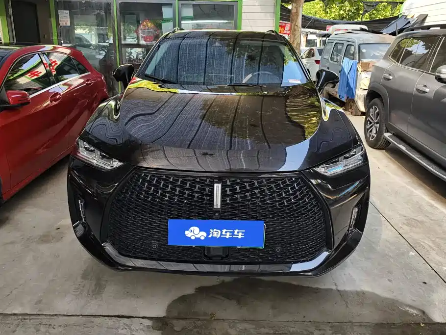 WEY P8 2019 2018 2.0T Flagship Model
