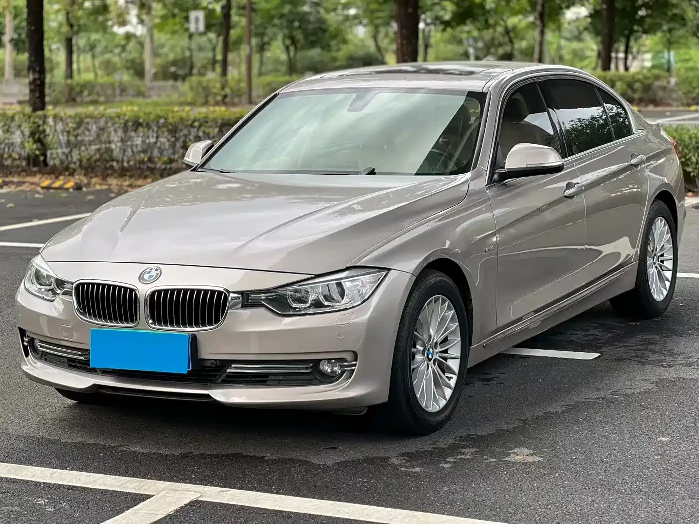 BMW 3 Series 2013 320Li Style Design Package