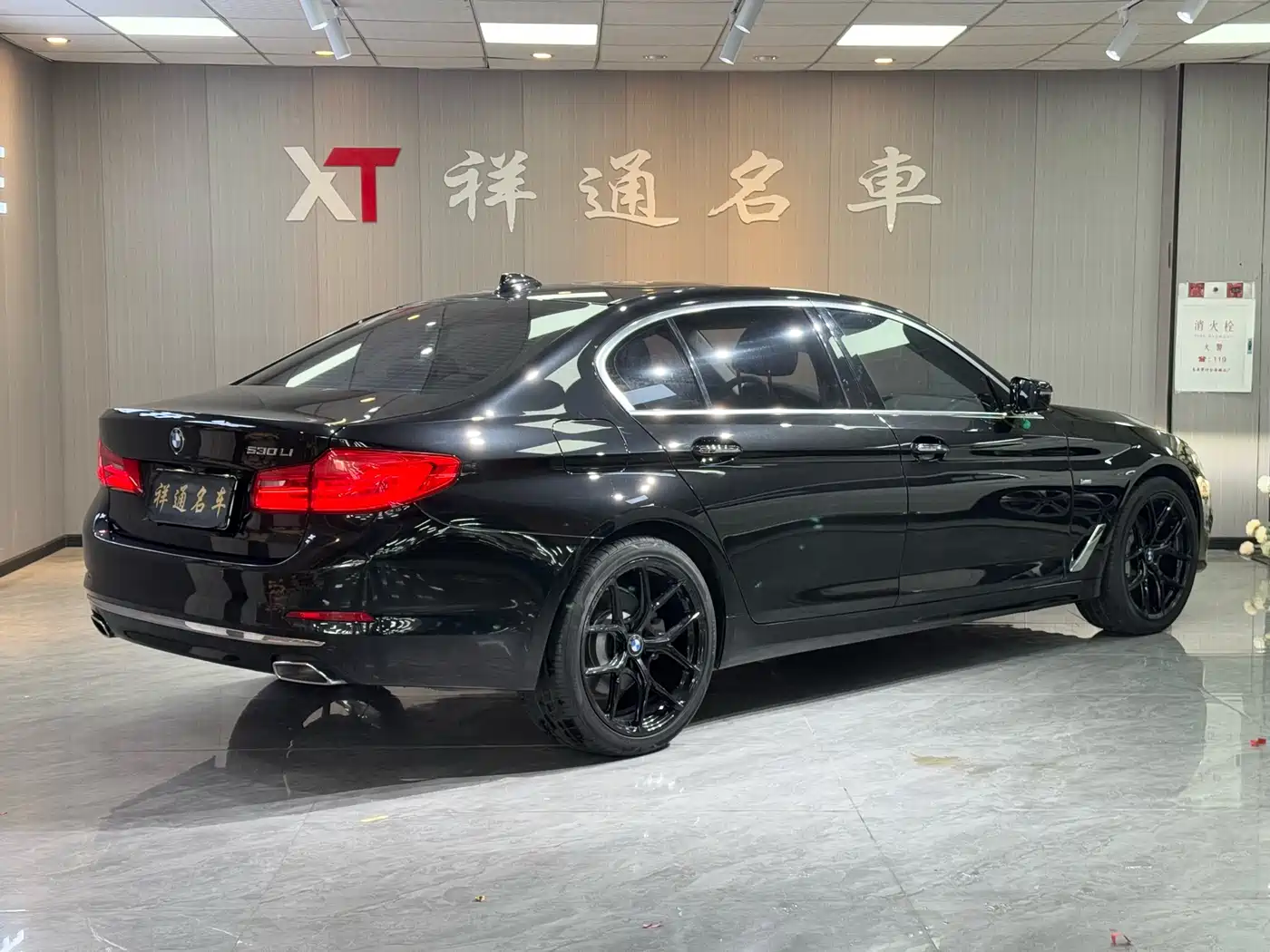 BMW 5 Series 2018 530Li Leading Luxury Package фото 18