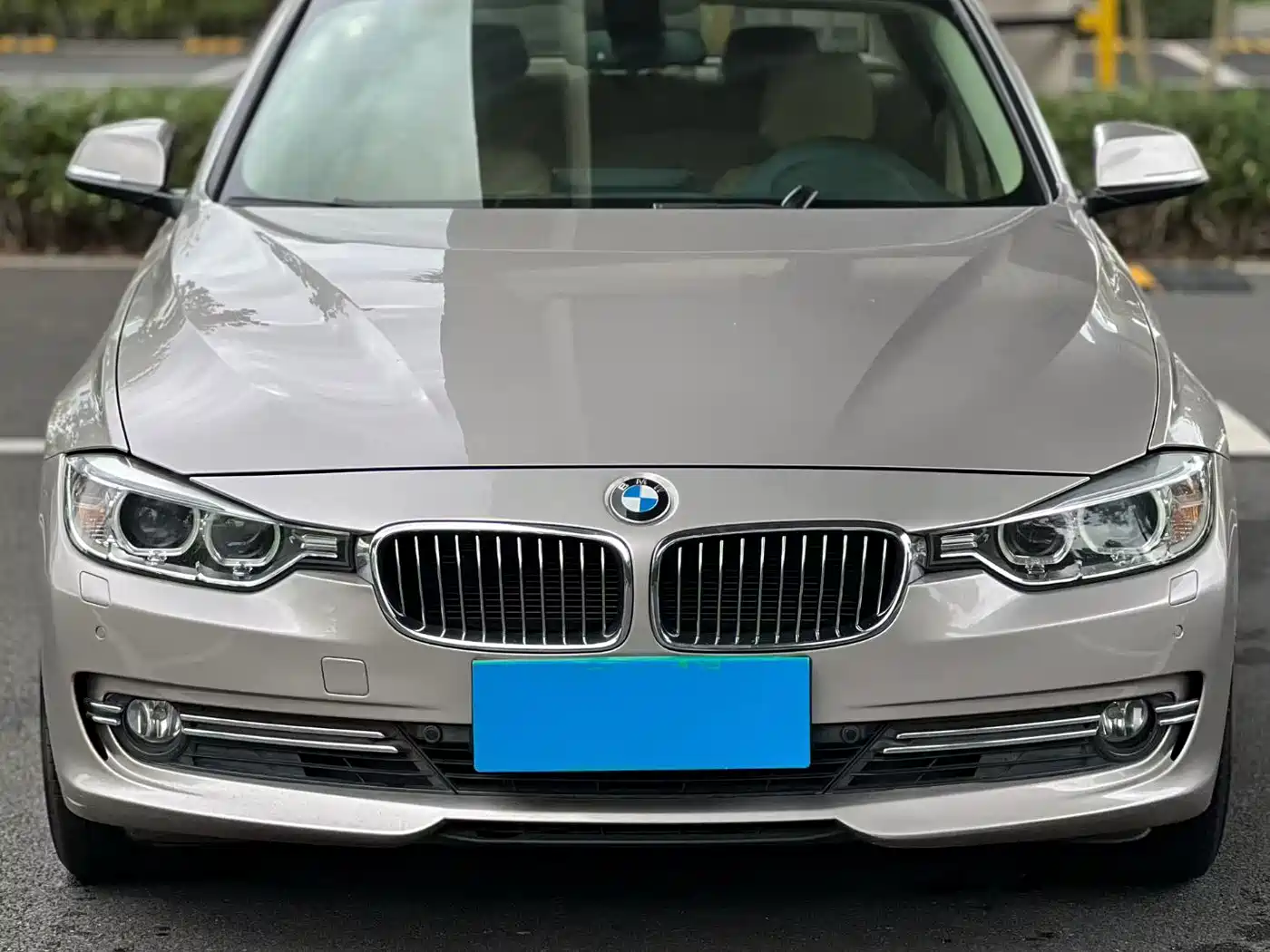 BMW 3 Series 2013 320Li Style Design Package фото 3