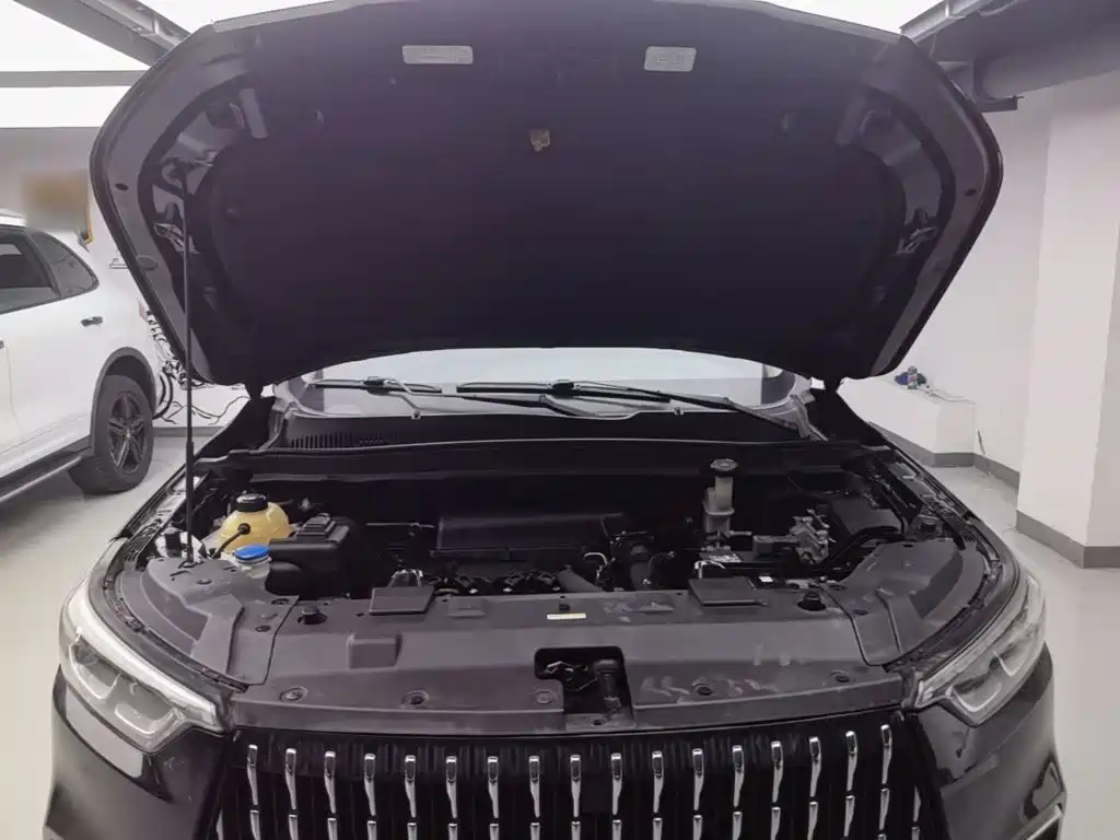 Leopaard Mattu 2019 2018 1.6T GDI DCT Premium Edition