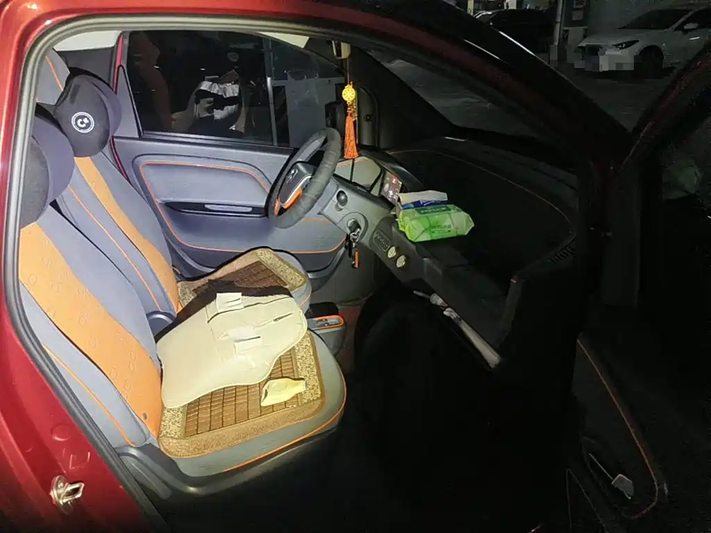 Baojun E100 2021 2020 305KM Intelligent Edition