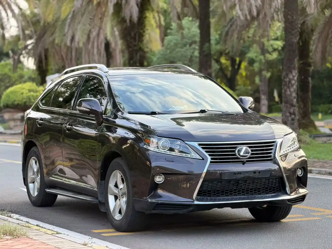 Lexus RX Classic 2014 2013 270 Elite