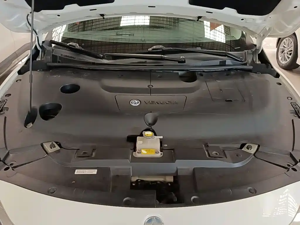 Venucia D60EV 2024 2023 PLUS Smart Drive SI Edition