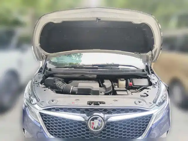 Buick GL8 2022 ES Landmark 653T Premium — фото 3