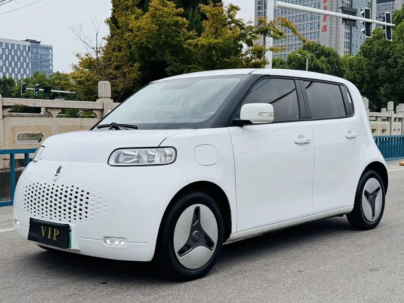 Ora White Cat 2021 2020 360km Luxury Model