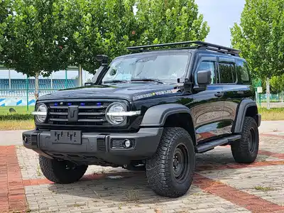 Tank 300