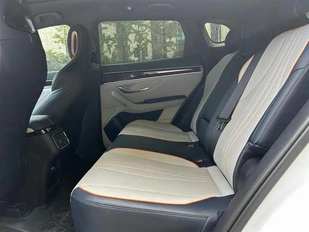 BYD SONGJIANG NEW ENERGY