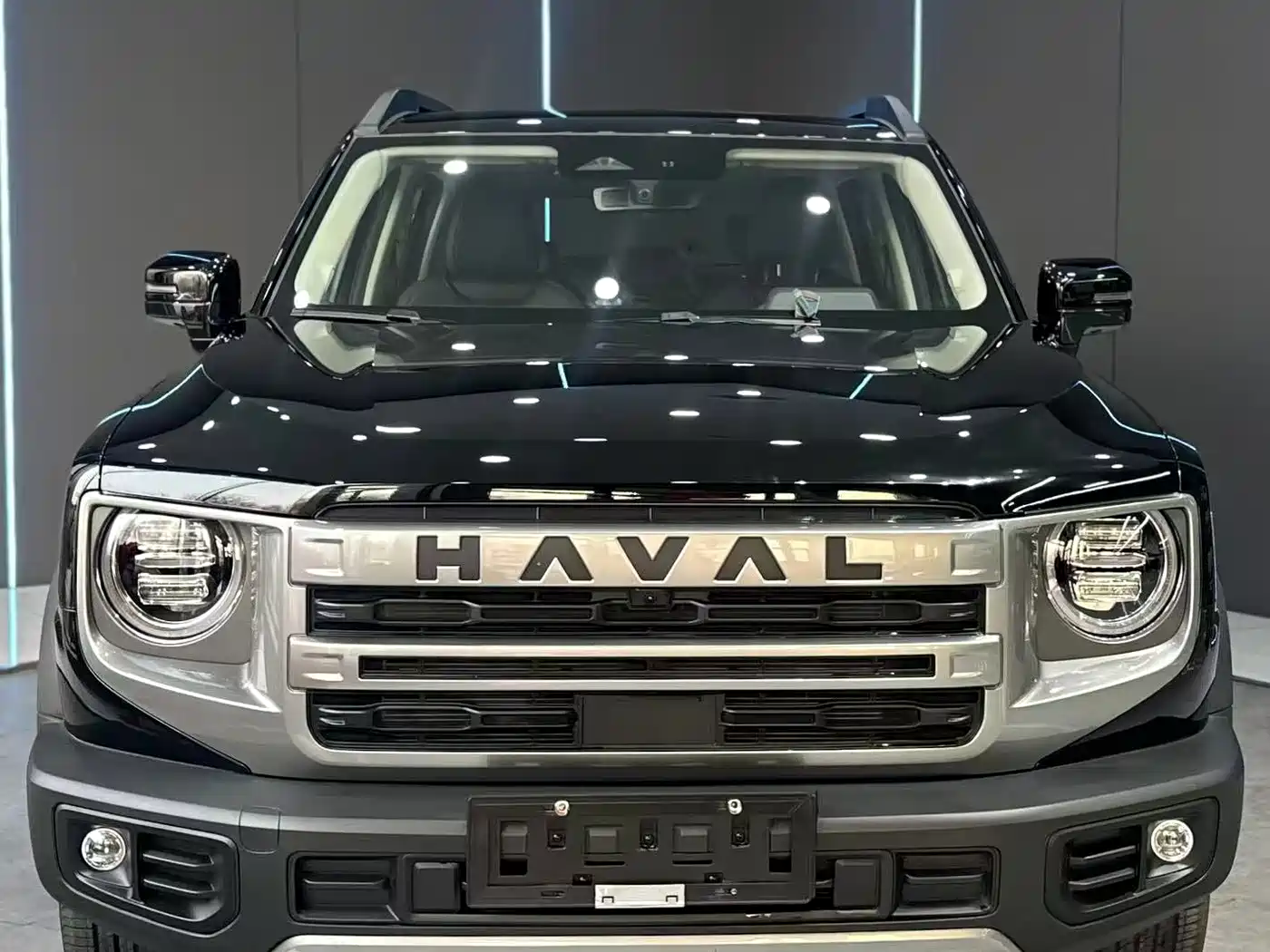 HAVAL BIG DOG
