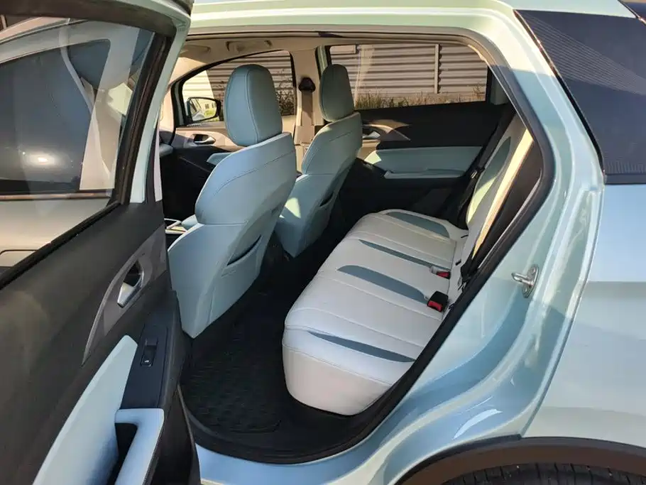 Geely Geometry E Firefly 2024 2024 Model 301km Starlight