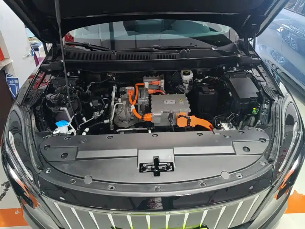 Hongqi E-QM5 2024 2024 Model 610km PLUS