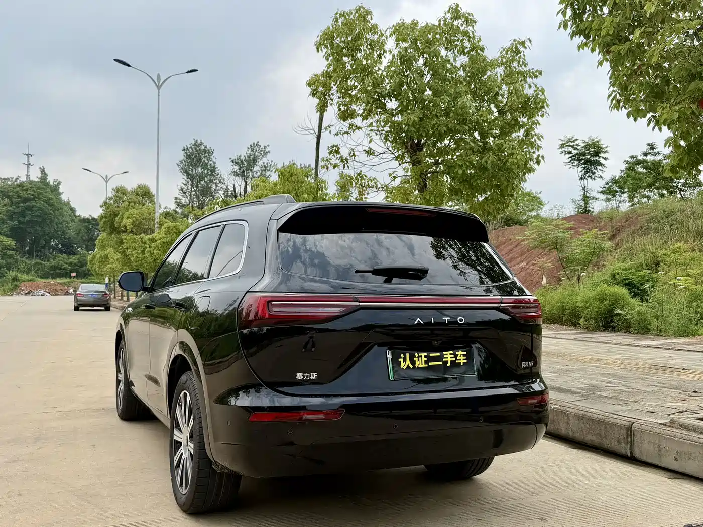 AITO Wenjie AITO M7 2024 1.5T Smart Drive RWD Pro 5-seater фото 8