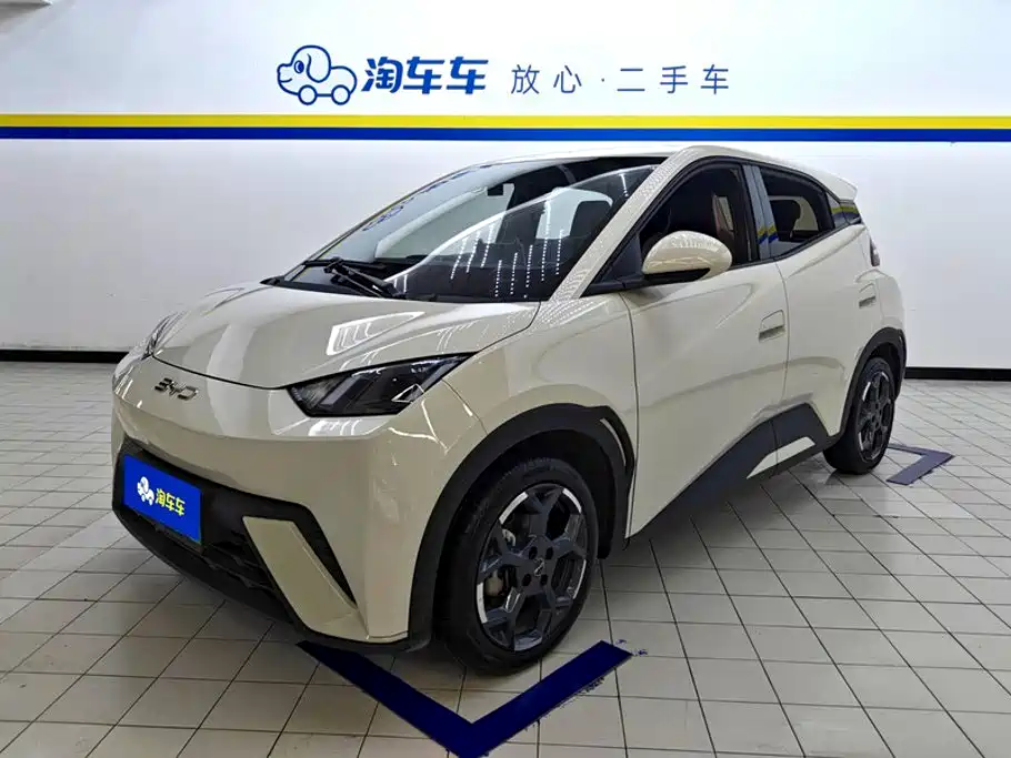 BYD Seagull 2024