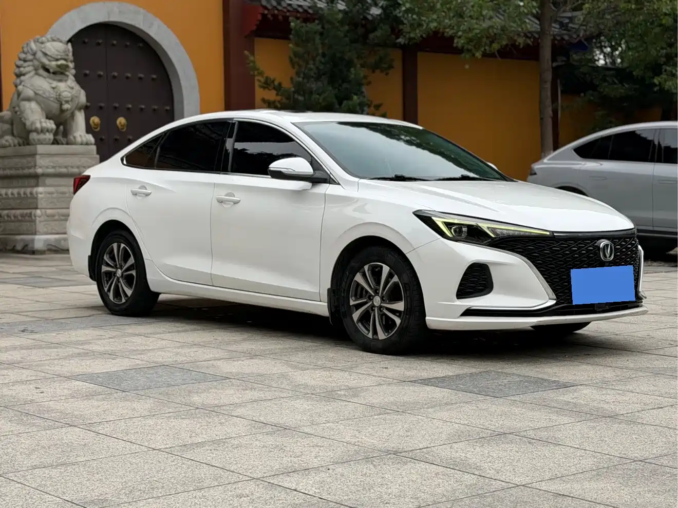 Фото 3 - Changan Eado