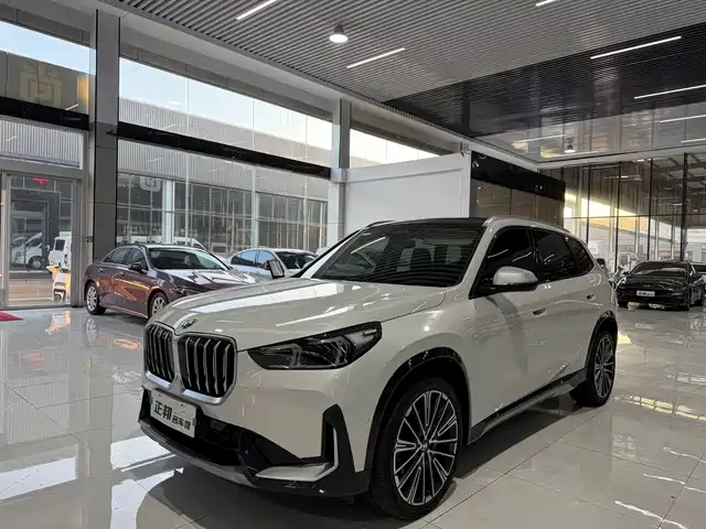 BMW X1 xDrive25Li, X Дизайн-пакет