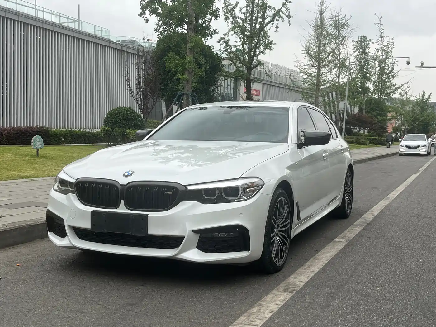 BMW 5 Series 2019 530Li Leading M Sport Package