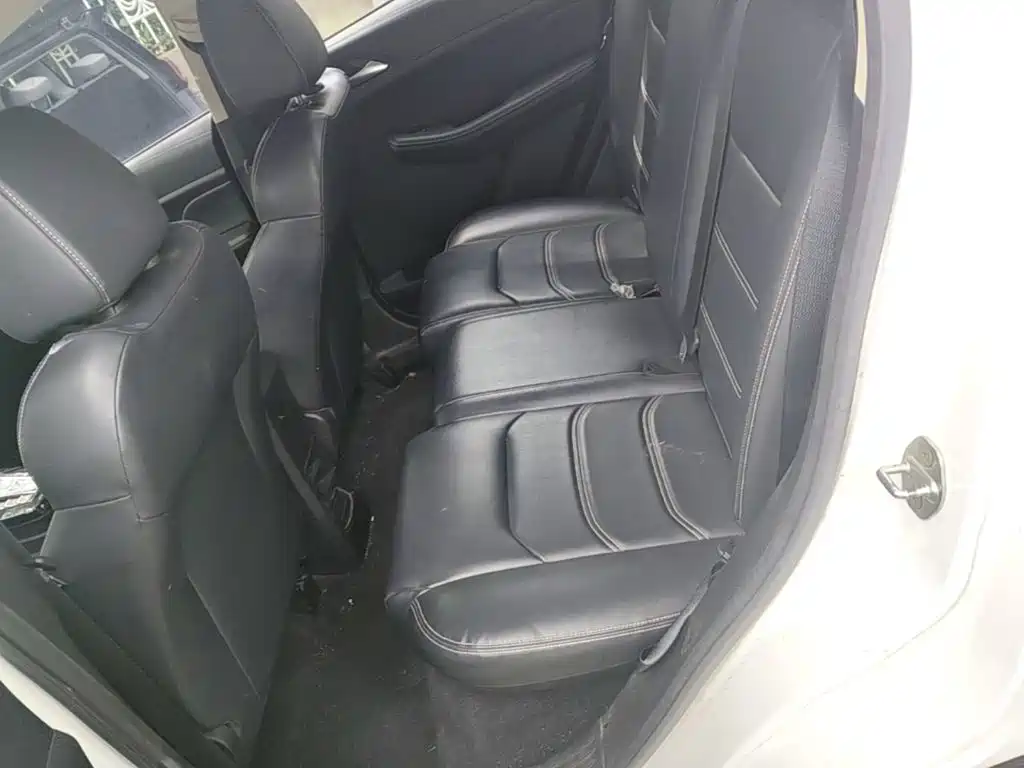 BYD Yuan New Energy 2020 2019 EV535 Smart Connected Trend Leader Type