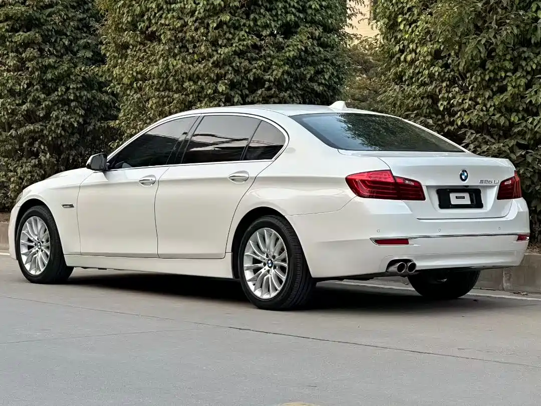 BMW 5 Series 2014 525Li Luxury Design Package фото 8