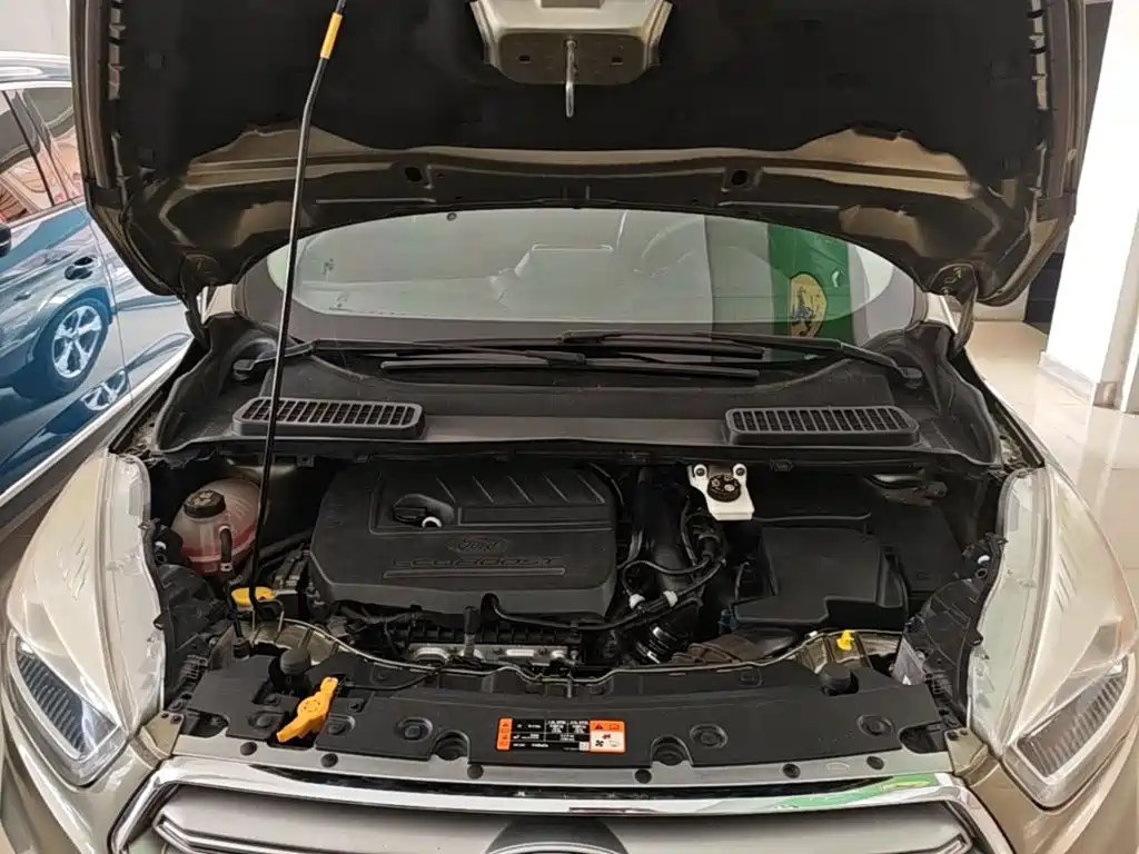 Ford Kuga 2017 2017 EcoBoost 180 2WD Tiger Leap