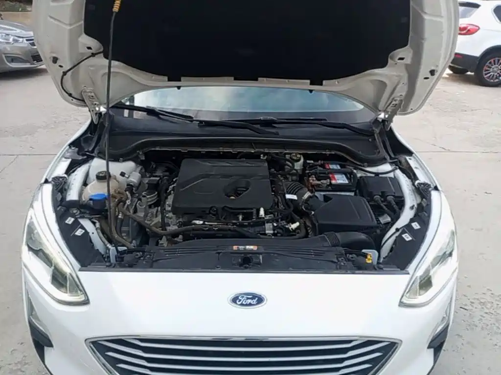 Ford Focus 2019 2019 Hatchback EcoBoost 180 Automatic Fengchao