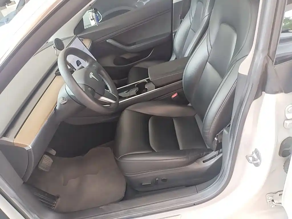 Tesla Model 3 2020 2020 Standard Range Rear-Wheel Drive Upgrade