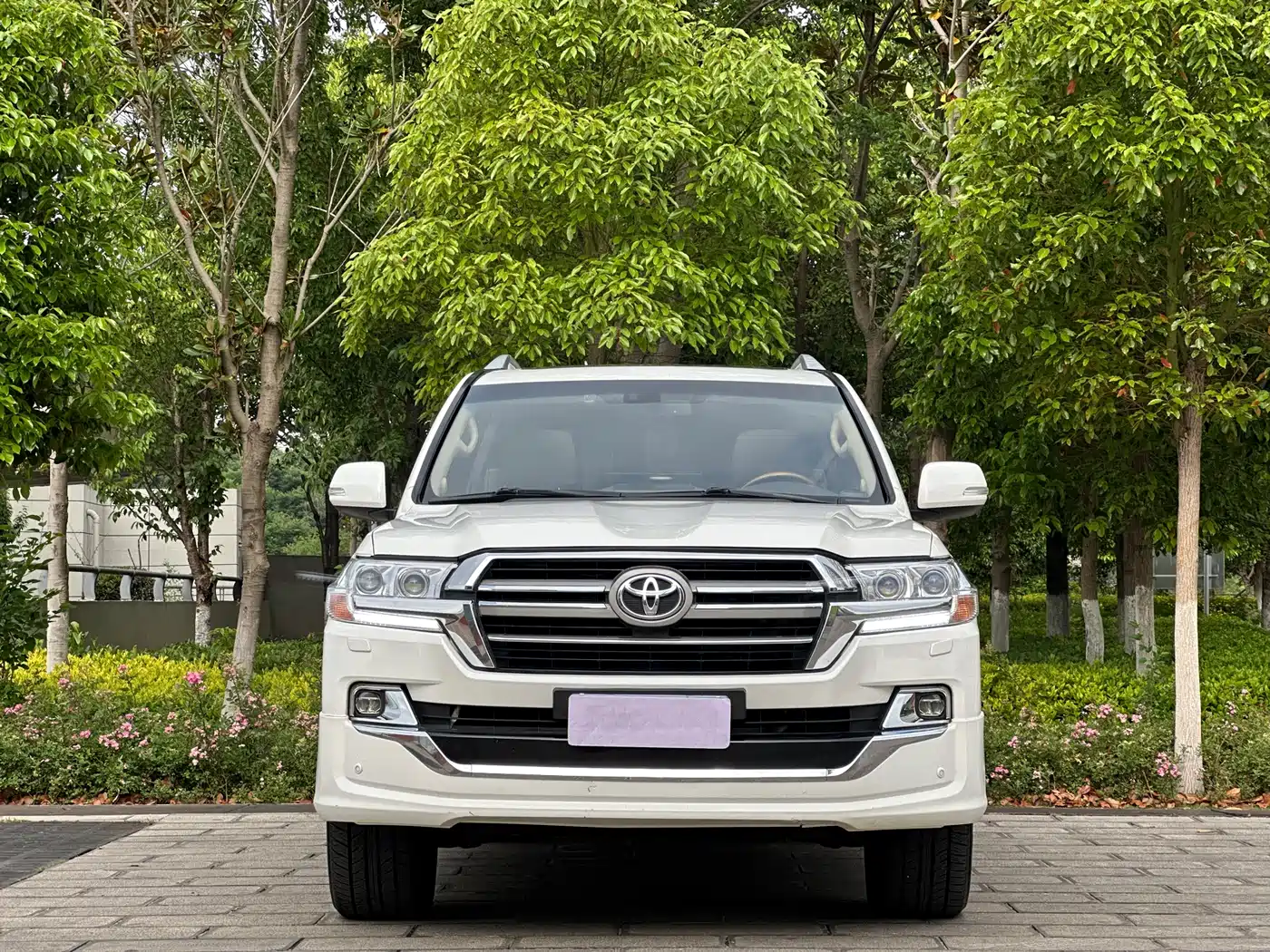 Toyota Land Cruiser 2012 4.6L Automatic VX-R фото 2