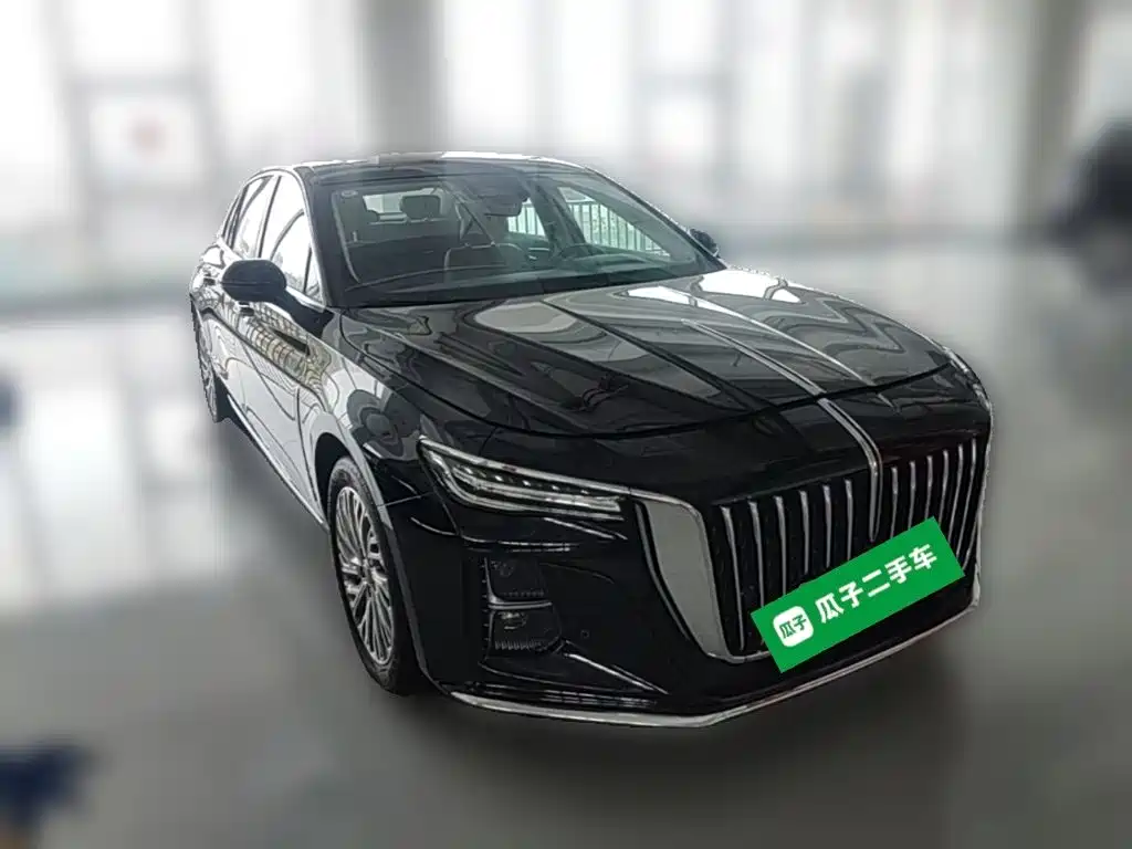 Фото 6 - Hongqi H5