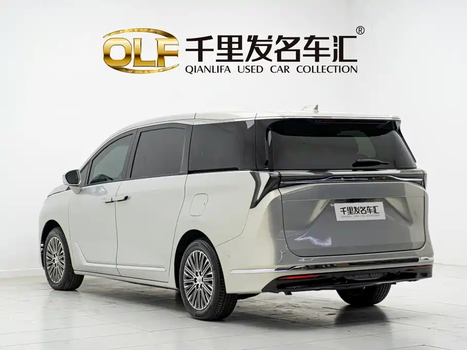 Buick GL8 New Energy 2024 2024 Land Honor Luxury Edition 6-Seater