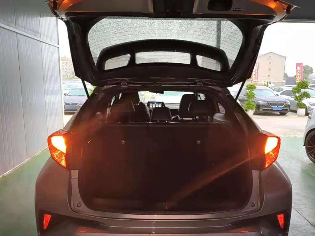 Toyota IZOA 2019 2018 2.0L Yichi Edition China V