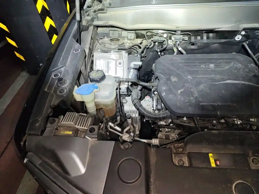 Haval Dargo 2024 2024 1.5T DCT Border Collie Edition