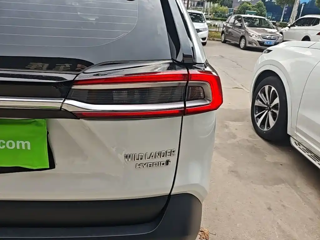 Фото 8 - Toyota Wildlander