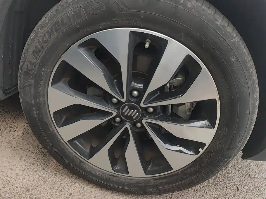 Weltmeister EX5 2019 2018 EX5 400 Extra Innovation Edition