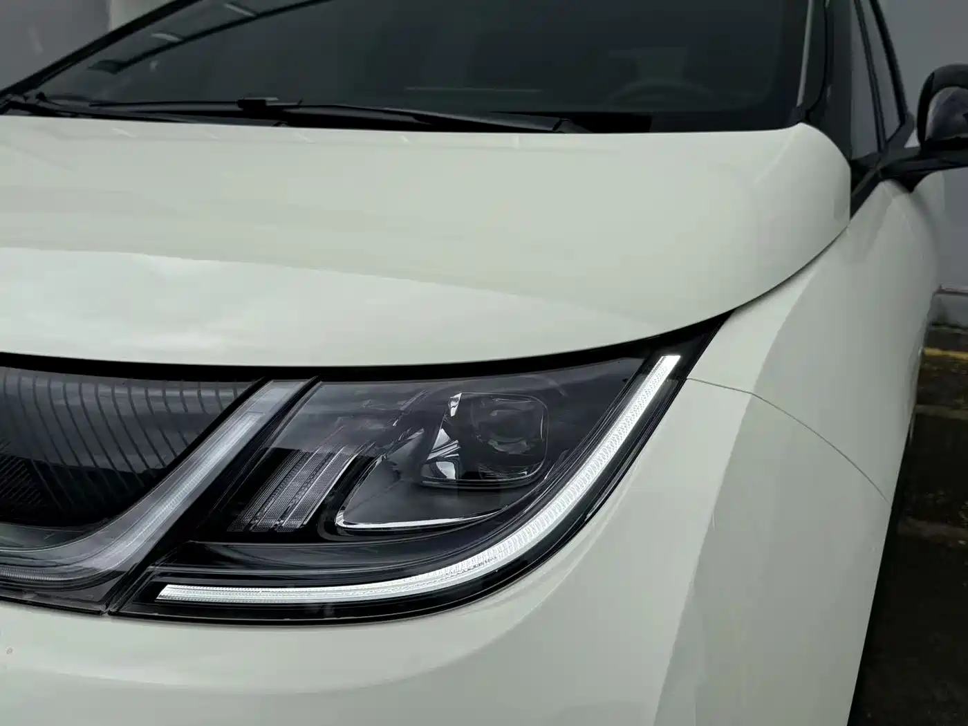 BYD Dolphin 2026 2025 420km Freedom Edition