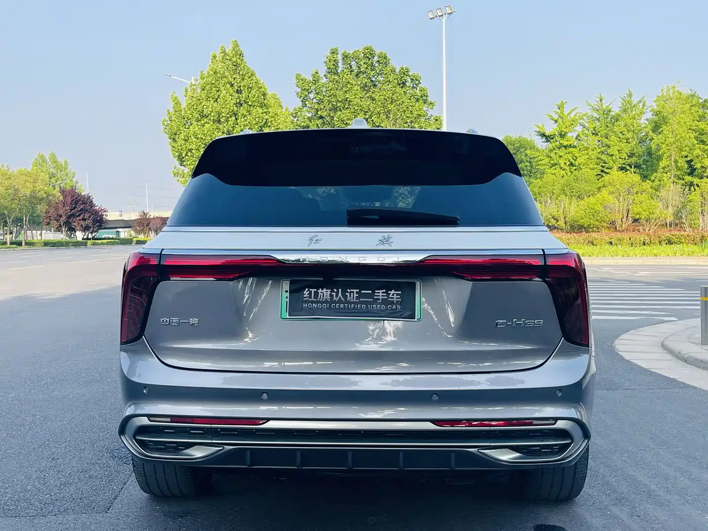 Hongqi E-HS9 2022 660km Qi Ling Edition (4-seater) фото 25