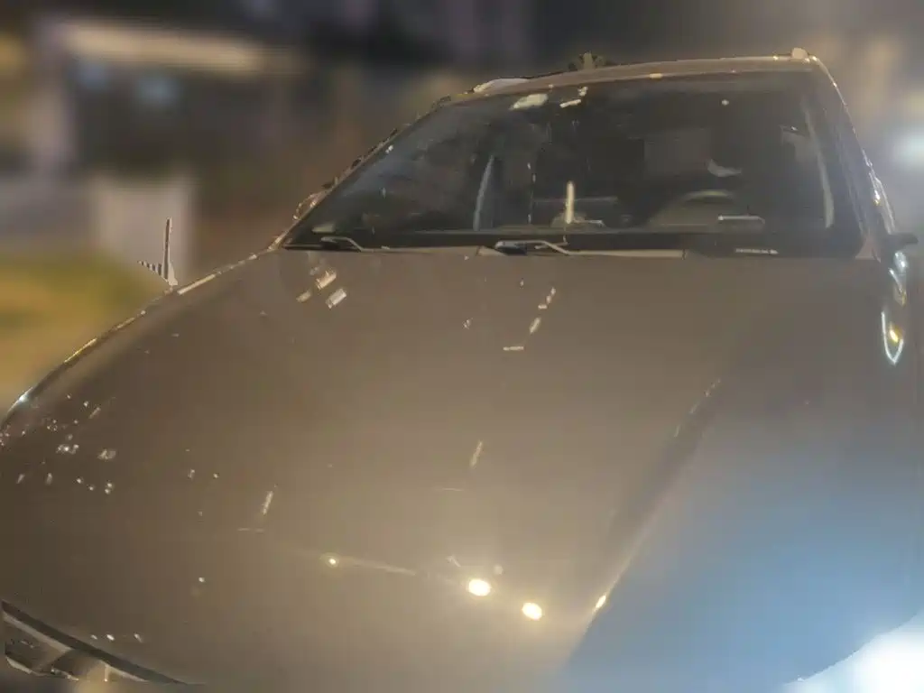 BYD e2 2019 2019 Standard Range Intelligent Comfort