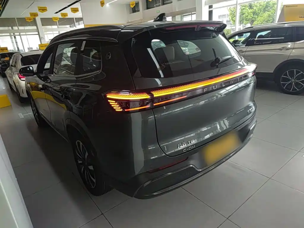 Chery Fengyun Fengyun T8 2025 2025 1.5T 130km Premium Edition 5-Seater