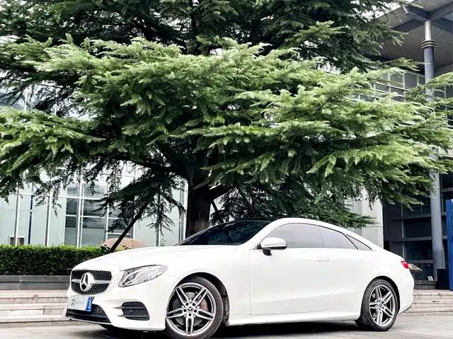 Mercedes-Benz E-Class (Import) 2019