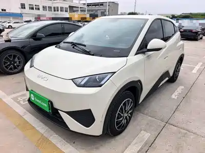 BYD Seagull