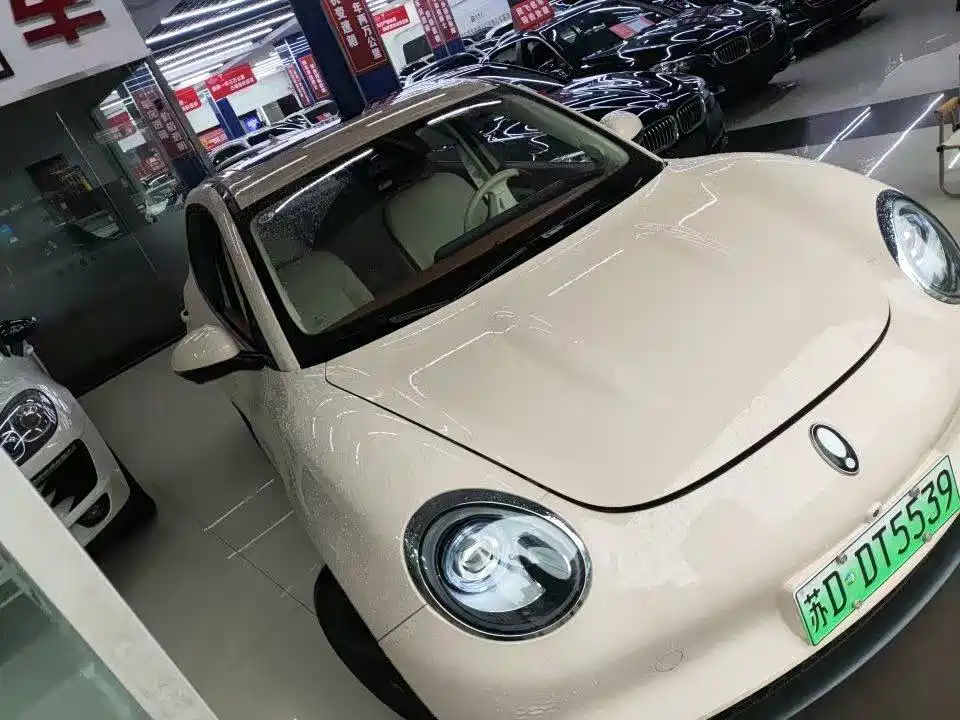 Ora Good Cat 2024 2024 401km Luxury